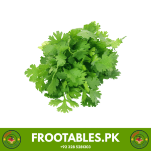 Coriander | Dhaniya | 1 Gadhi