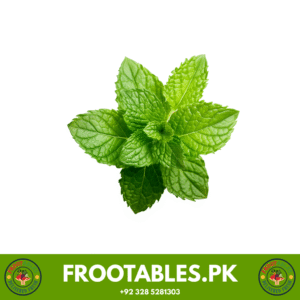 Mint | Podina | 1 Gadhi